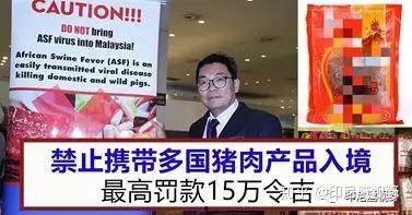 印尼猪瘟最新爆料图册,揭秘爆发原因与防控措施  第1张